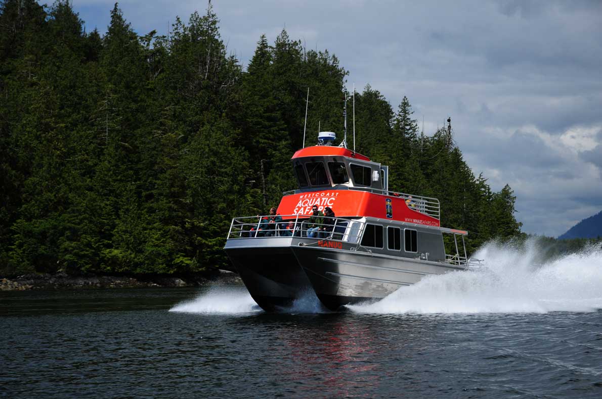 Whale Watching Meets Wilderness: West Coast Aquatic Safaris Launches New Combo Tour Package in Tofino