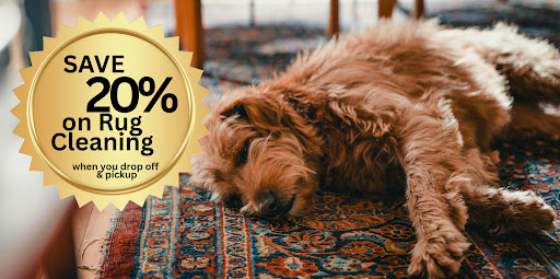 Atiyeh Bros Eugene Rug & Carpet Cleaning Announces Service Expansion Following Customer Growth