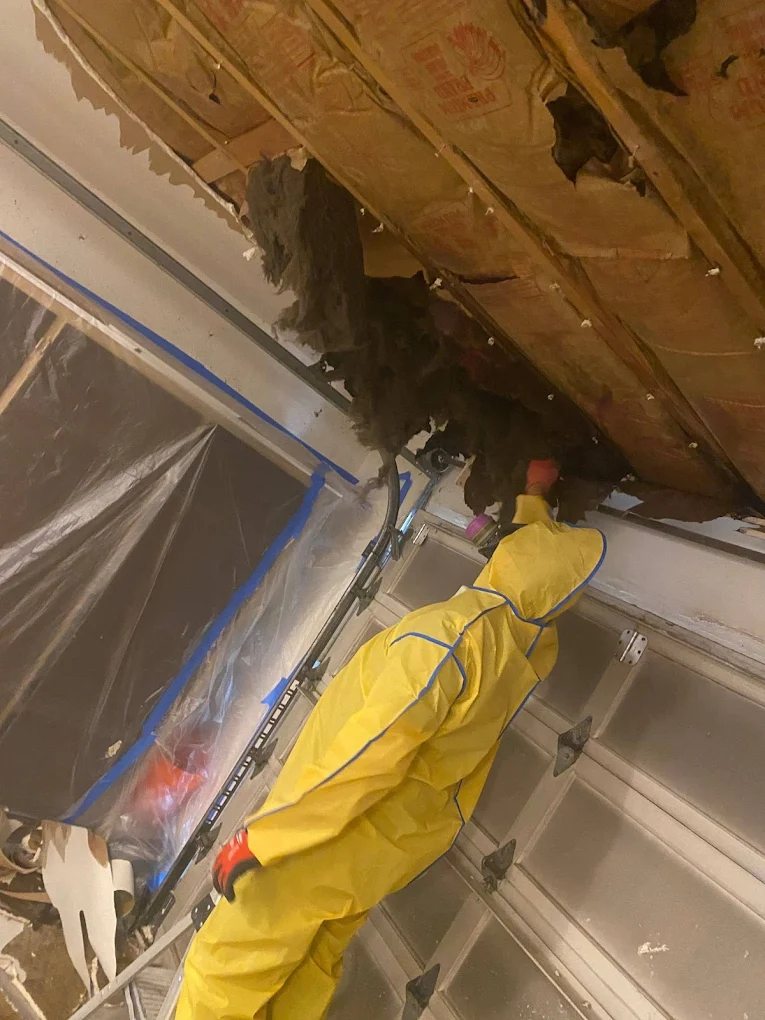 Emergency Service Pros Expands Restoration Services to New State